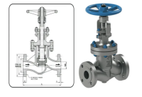 The Bellow Seal Globe Valve