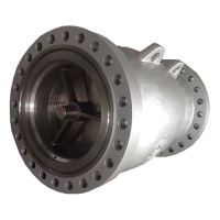 Axial Flow Check Valve